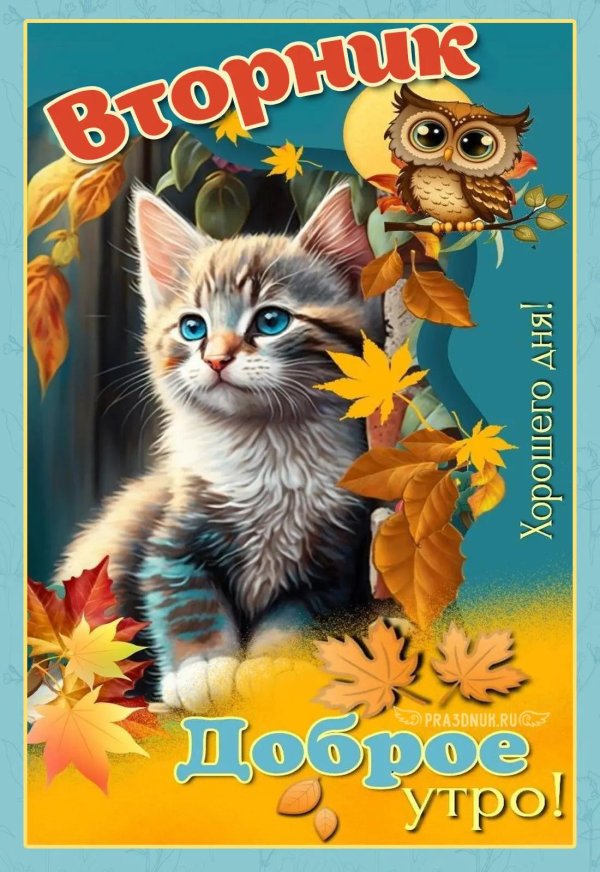 открытка со вторником