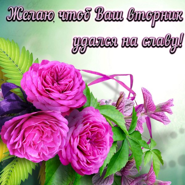 с добрыми пожеланиями