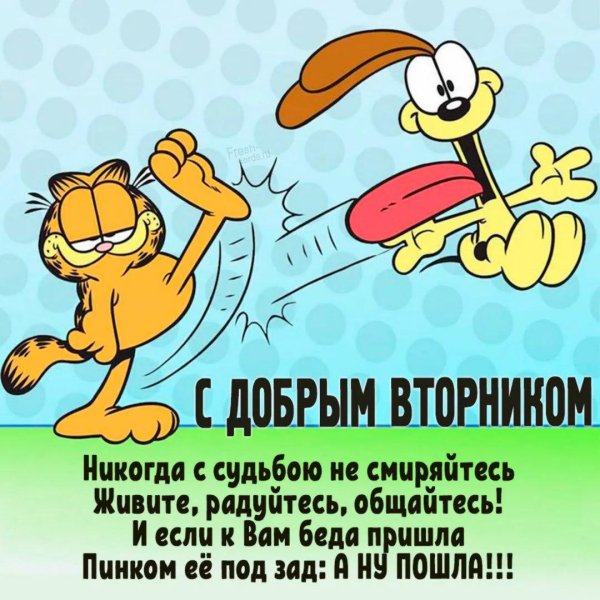 открытки со вторником прикольные
