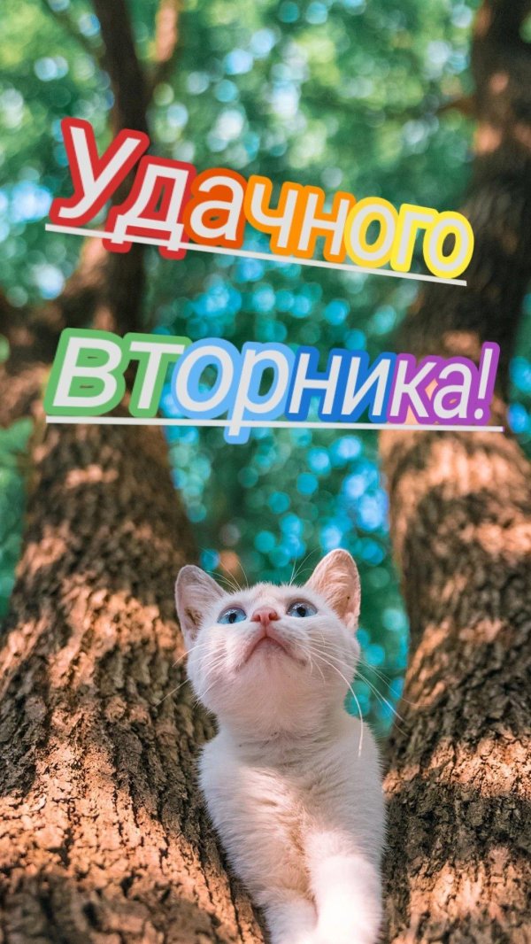 хороший вторник