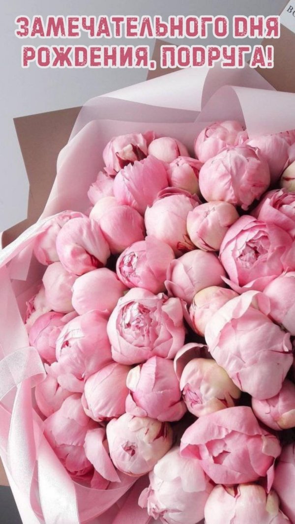 розовые пионы