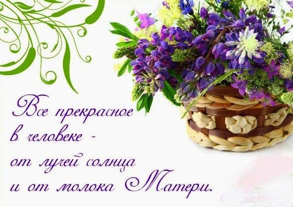 корзинка с цветами