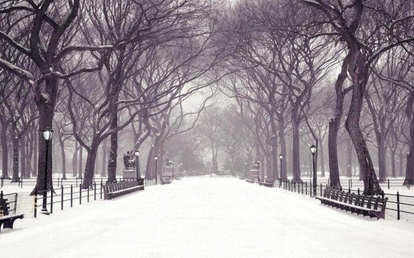 winter new york