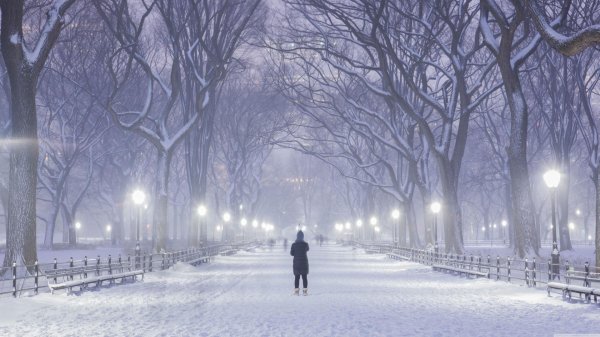 central park winter