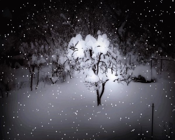 зима снегопад