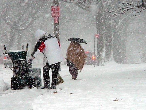 нью йорк завалило снегом