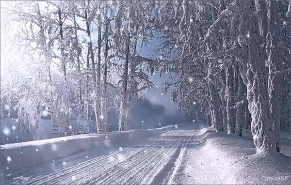 метель зимой