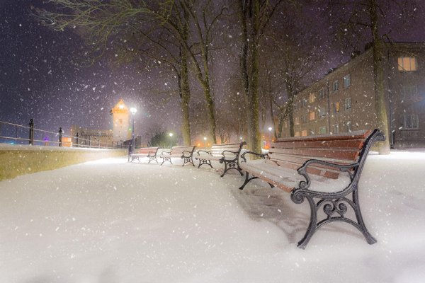 скамейка зимой