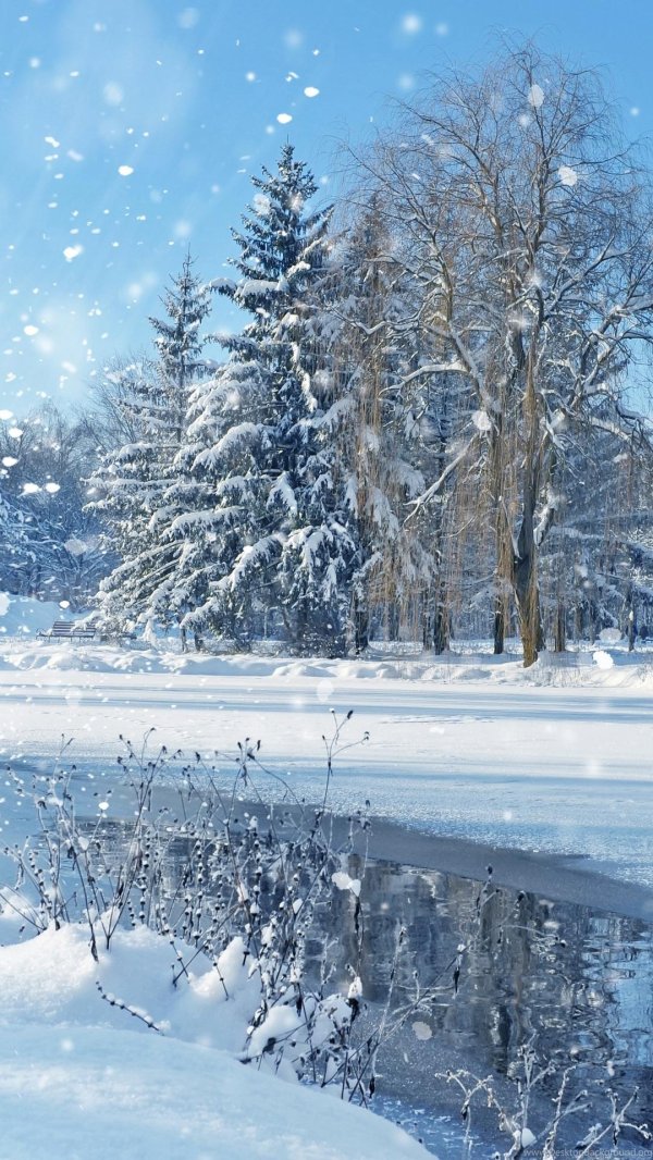 зимняя природа