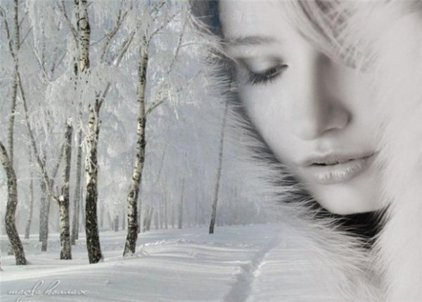 белая вьюга