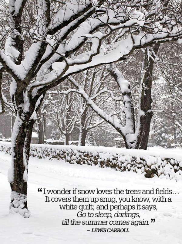 высказывания о зиме