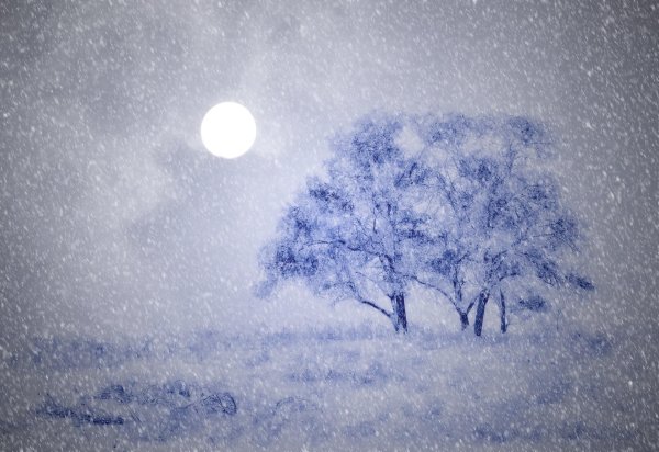 зимняя ночь