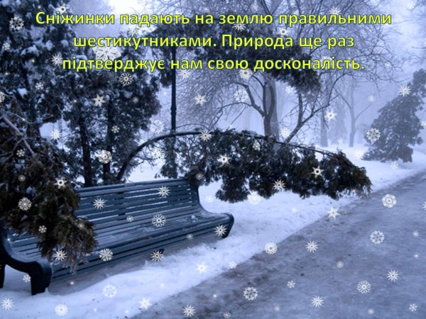 природа зима