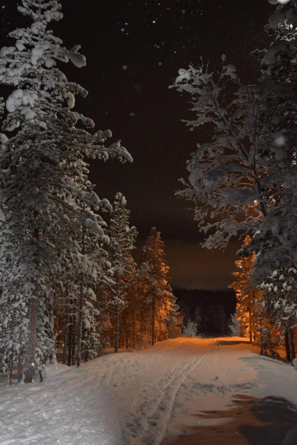 костомукша жемчужина карелии