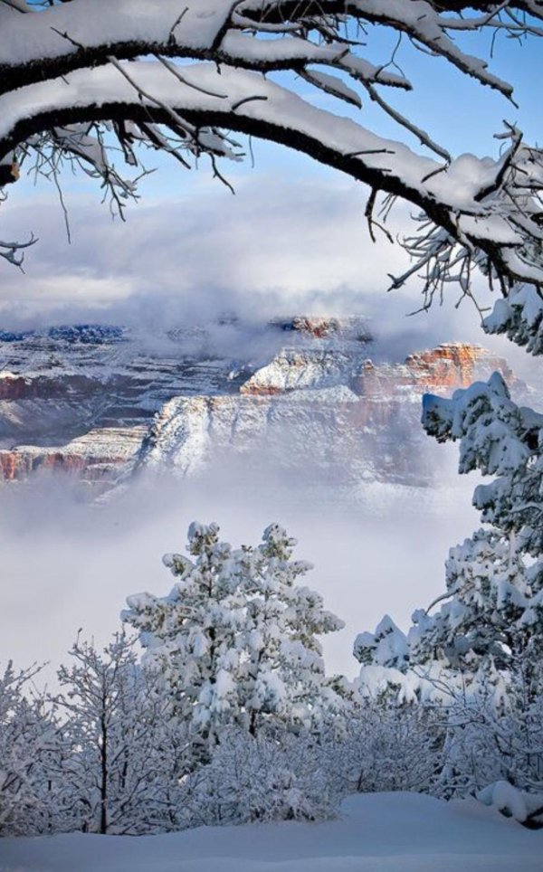 гранд каньон национальный парк