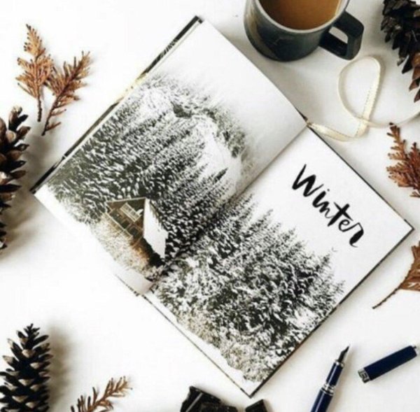 книги зимой