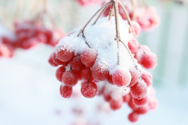 12 декабря парамонов день парамон зимоуказатель