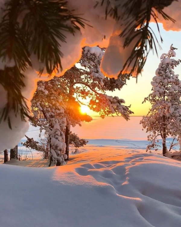 закат зимний