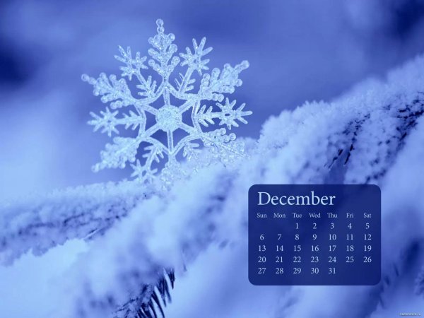 снежинки снег