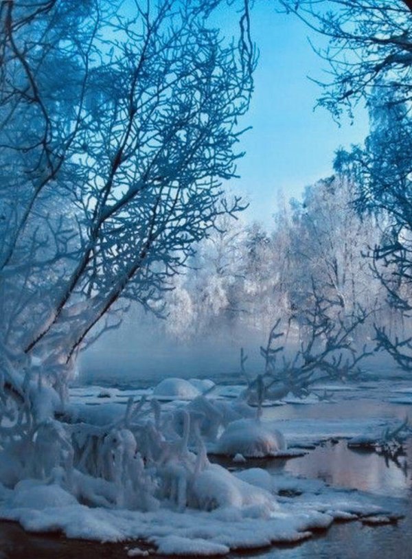 природа зимняя