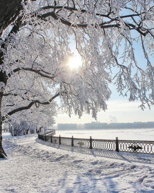 зимний парк