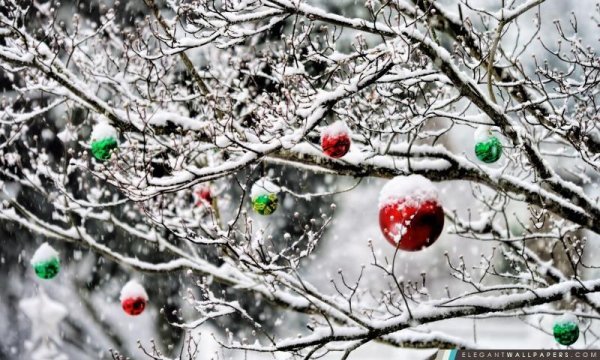 новогодние шары на ветке