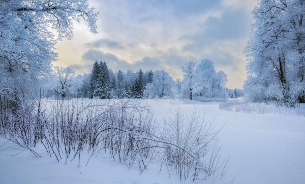 январь мороз