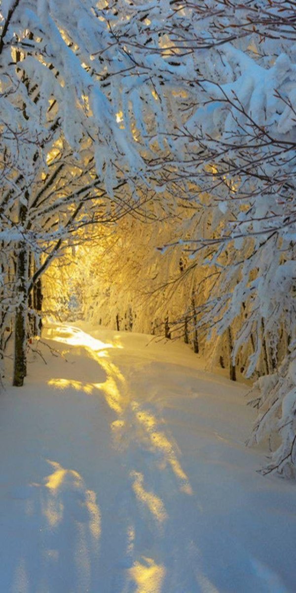 природа зимняя