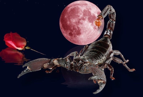 луна в скорпионе