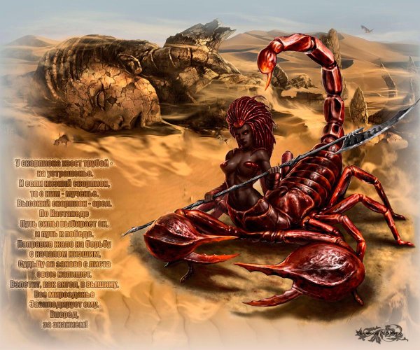 гигантский скорпион днд