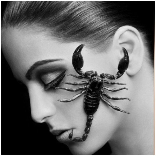 макияж скорпиона