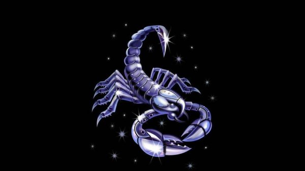 скорпиончик знак зодиака