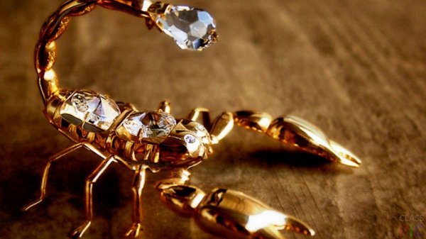 золотой скорпион