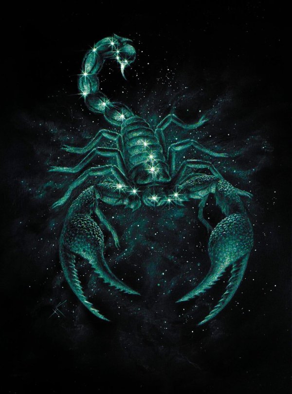 зодиак скорпион