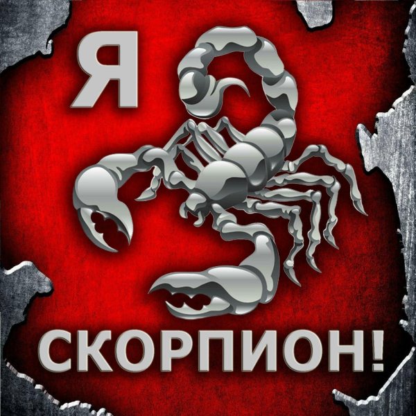 скорпионы гороскоп
