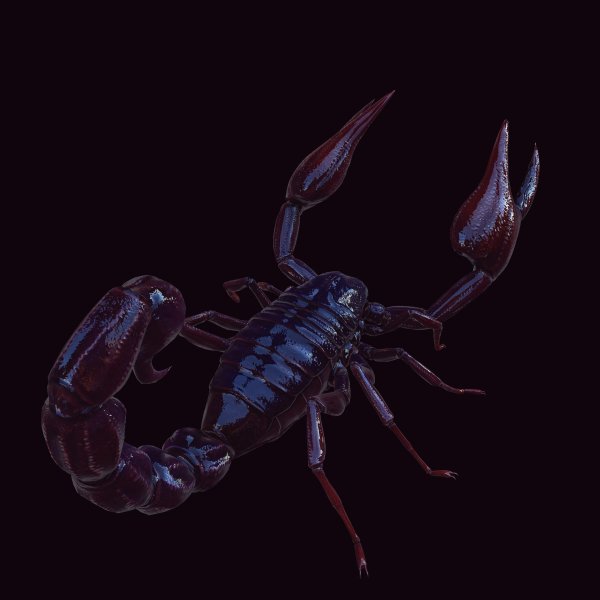 скорпион насекомое