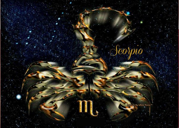 скорпион на заставку