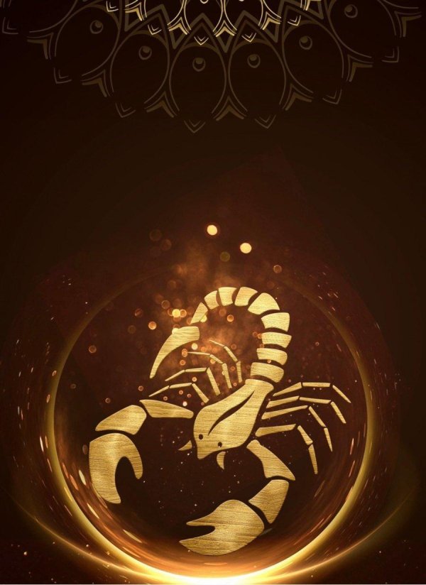 скорпиончик знак зодиака