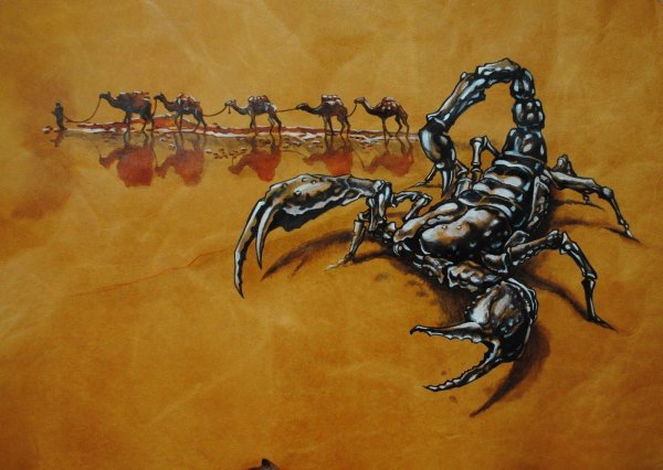 картина скорпион