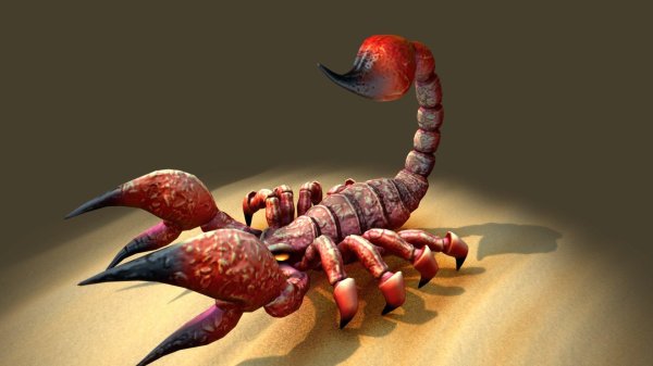 скорпион 2023