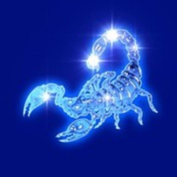 скорпион на аватарку