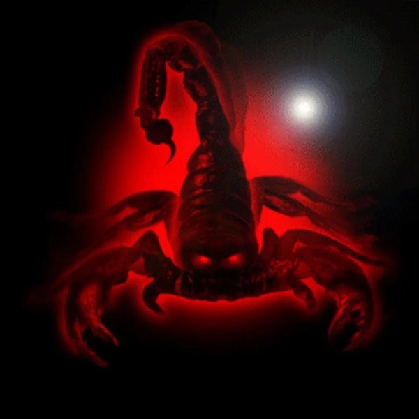 злой скорпион