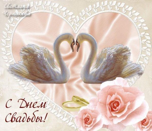 с днем свадьбы лебеди