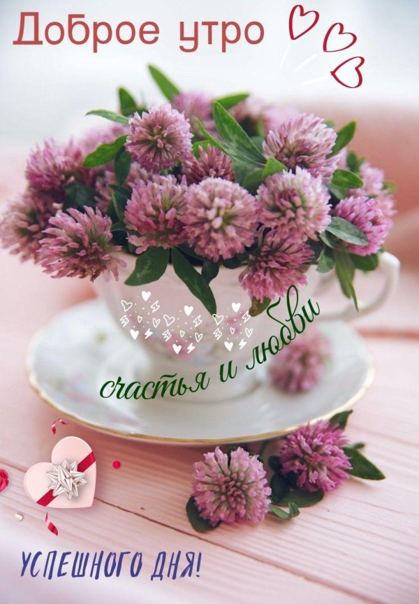 полевые цветы и чай