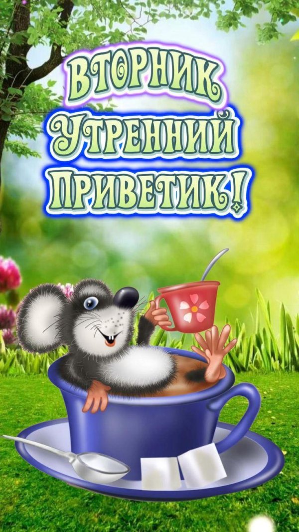 доброго утра вторник