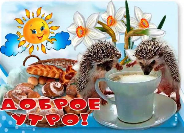 доброе утро с ежиками