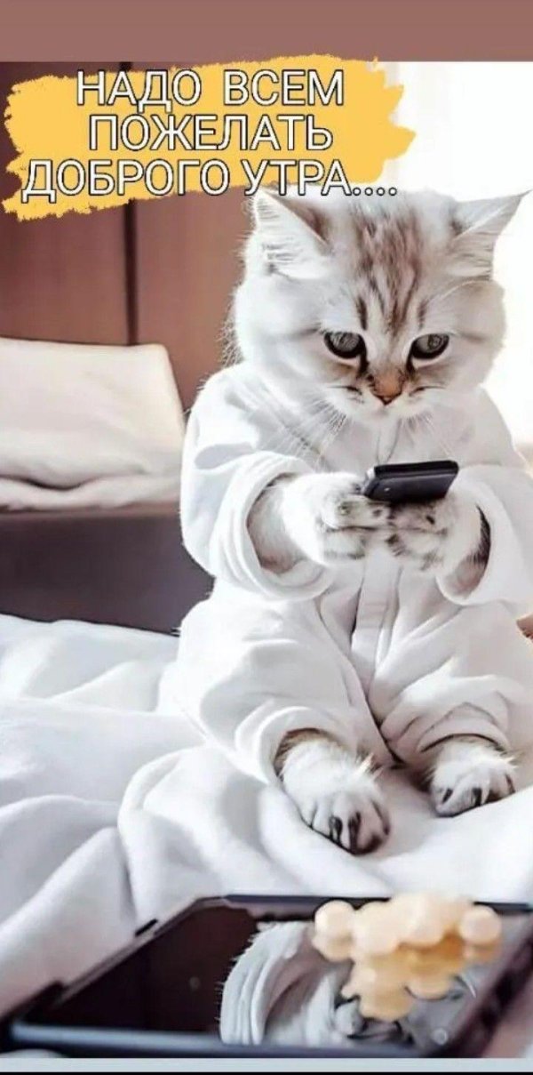 добра утра