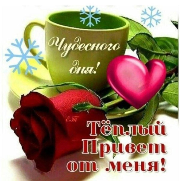 доброго ранку гарного дня