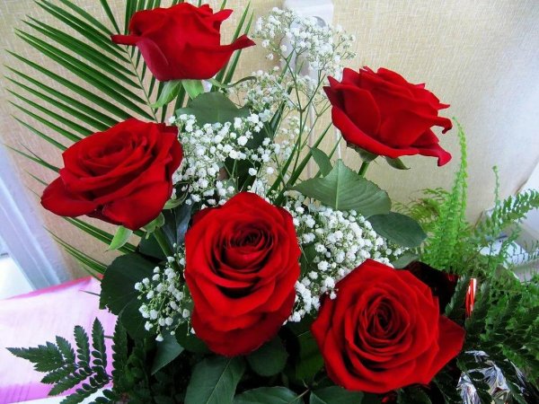 роза гулдору