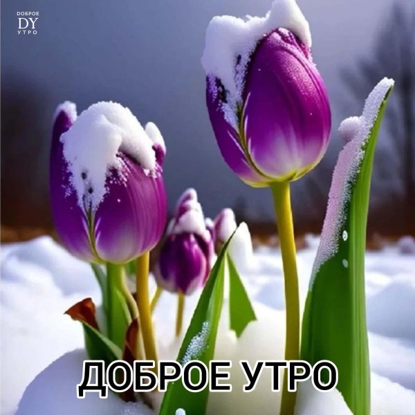 весна доброе утро